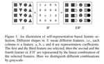 Regularized and Constrained Self-representation for Robust Feature Selection